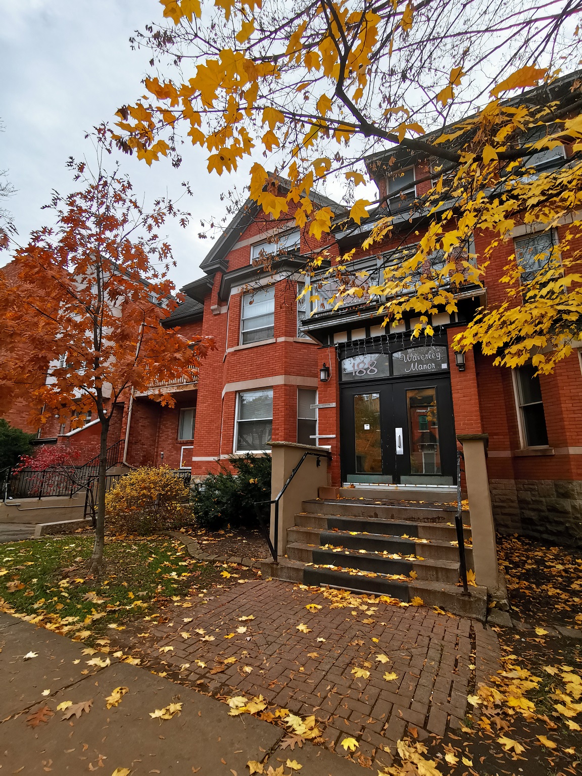 188 Waverley Street - 102