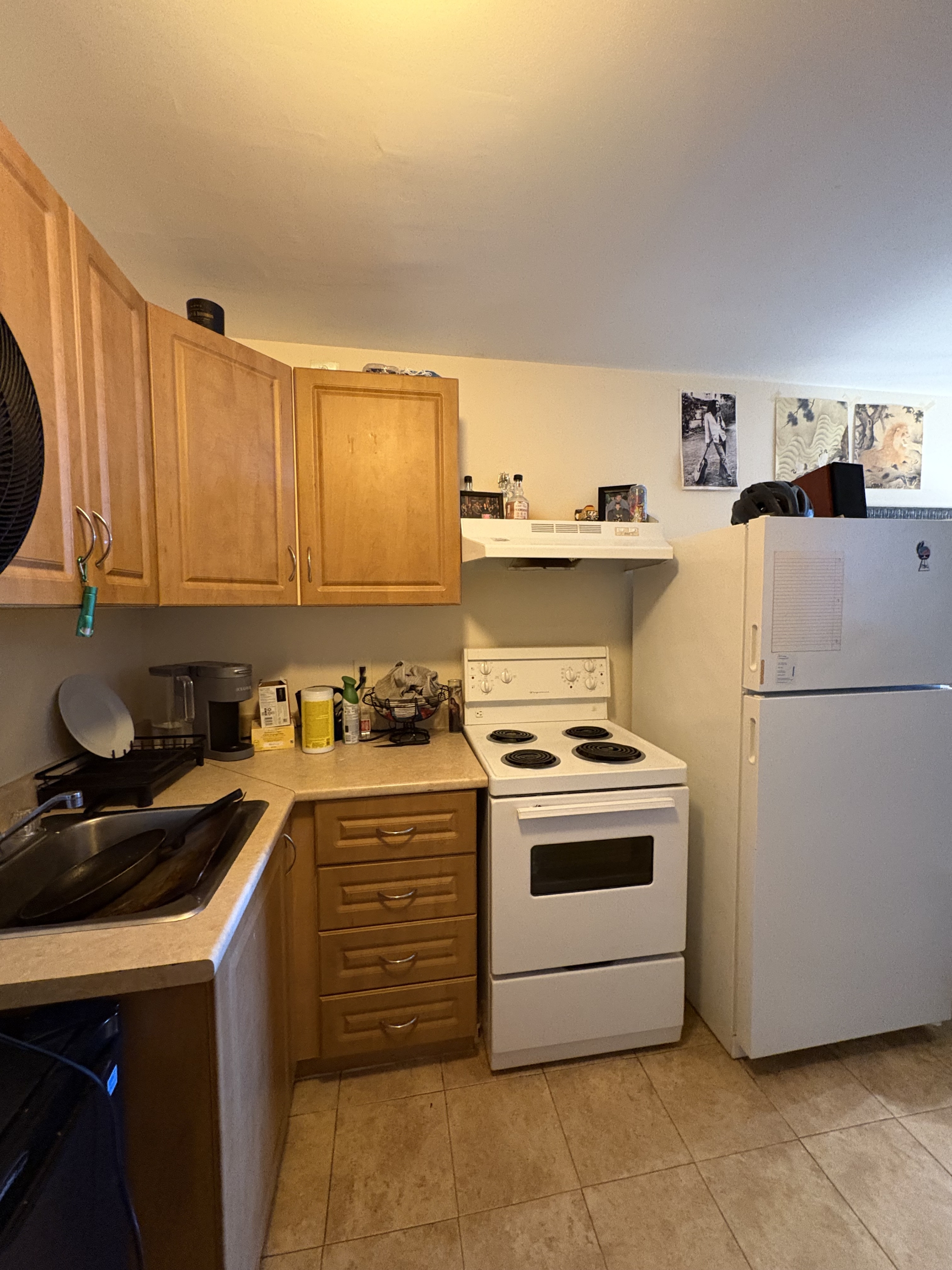 355 Elgin Street - E