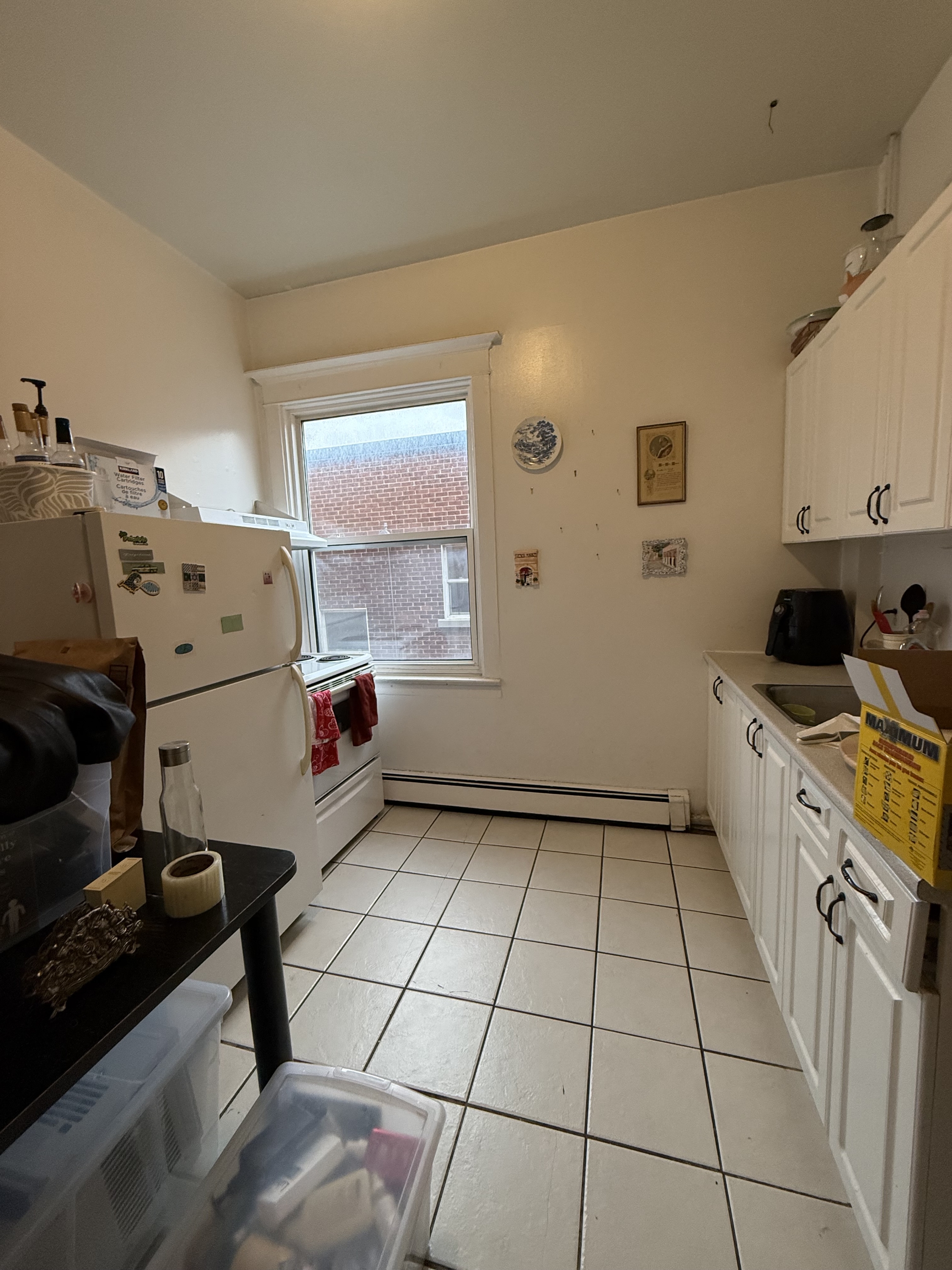 347 Elgin Street - B